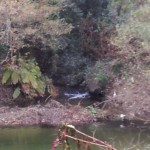 2012-11-25 17.19.35